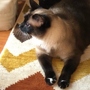 Meet your Posher, Jerry